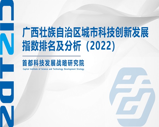 我要看老森妓女操逼【成果发布】广西壮族自治区城市科技创新发展指数排名及分析（2022）